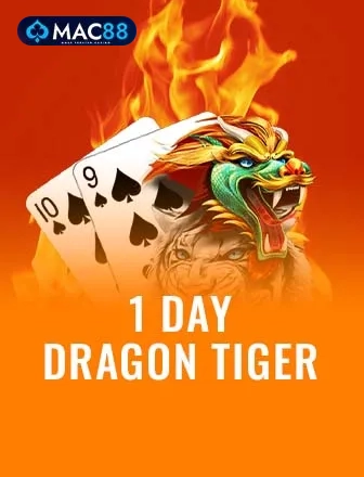 Day 1 Dragon Tiger